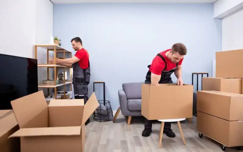 Furniture Movers in Dubai